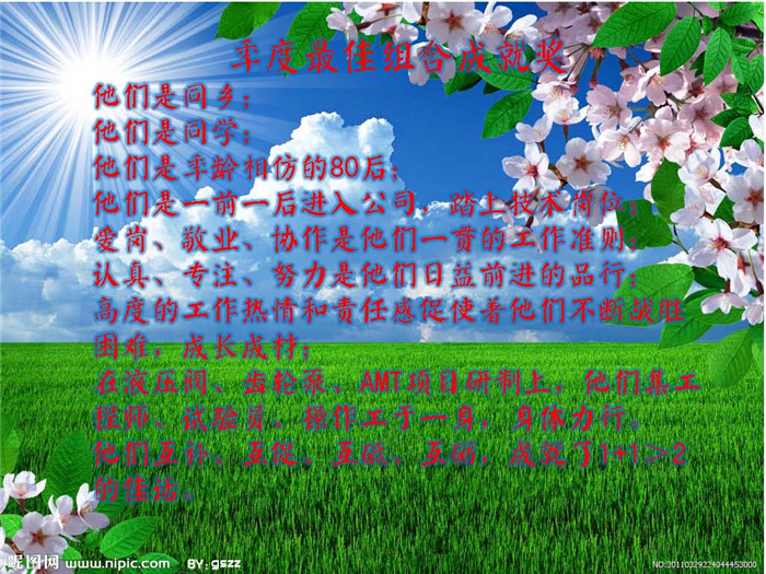 最佳组合成就奖
